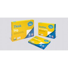 Biroja papīrs Data Copy A4 80g (kaste)
